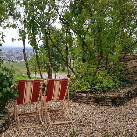 La Maison de l'Ecu : charme et vue incroyable Beaune  Extérieur photo