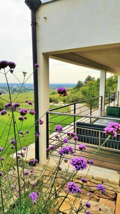 La Maison de l'Ecu : charme et vue incroyable Beaune  Extérieur photo