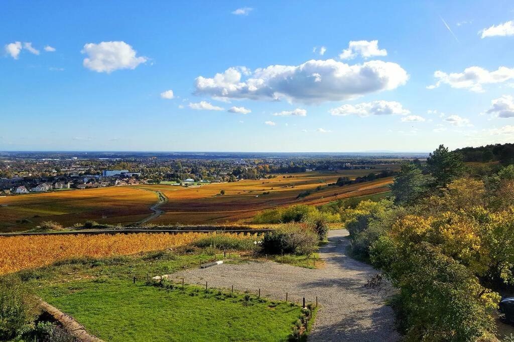 La Maison de l'Ecu : charme et vue incroyable Beaune  Extérieur photo