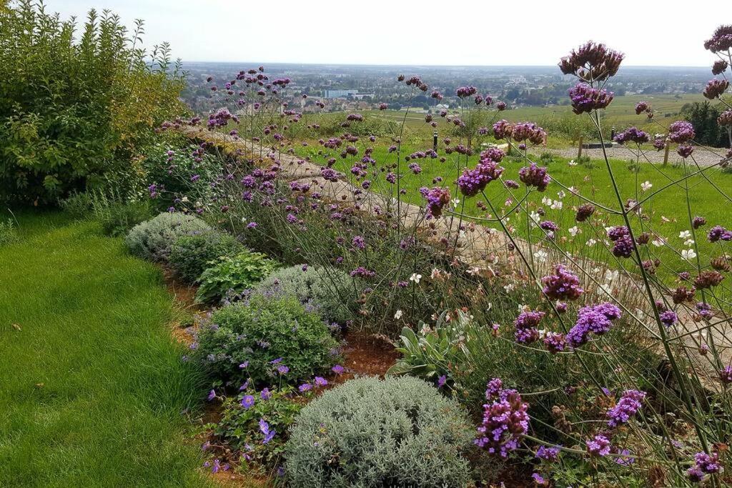 La Maison de l'Ecu : charme et vue incroyable Beaune  Extérieur photo